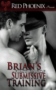 Brian's First Day of Submissive Training