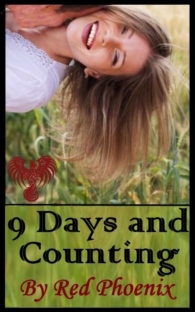 9 Days and Counting_small