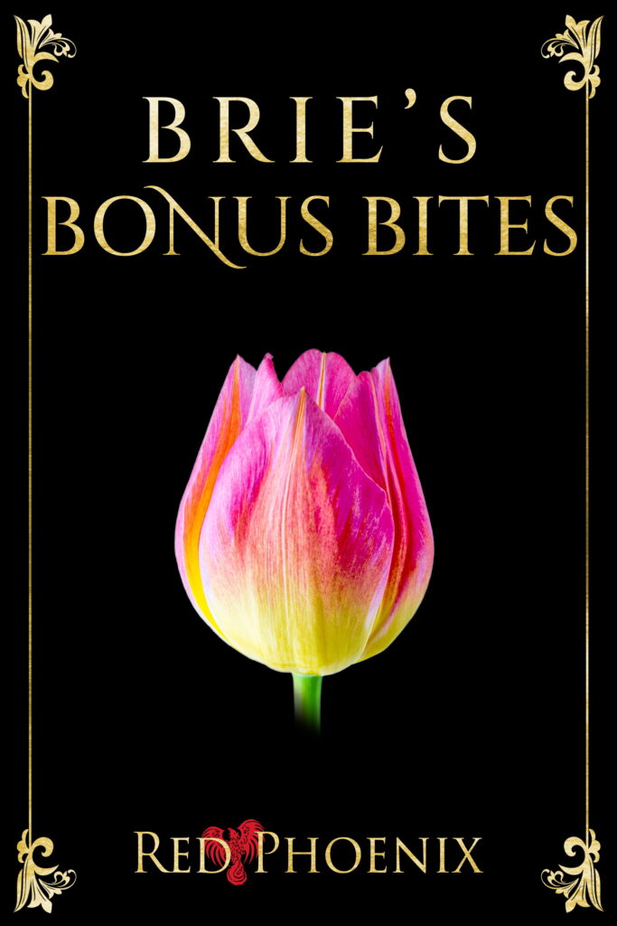 Brie_Bonus_Bites