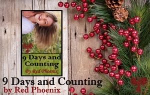 holiday-9-days-and-counting-banner