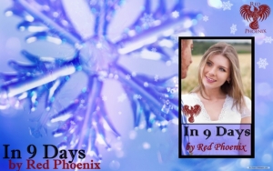 holiday-in-9-days-banner