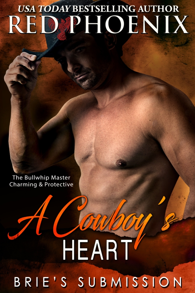 Love Me KOBO cover