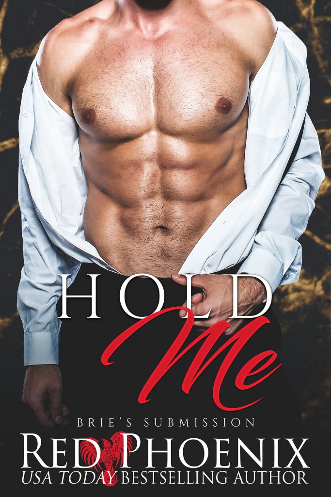 Official Hold Me New Cover