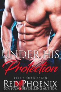 Official Under His Protection cover New