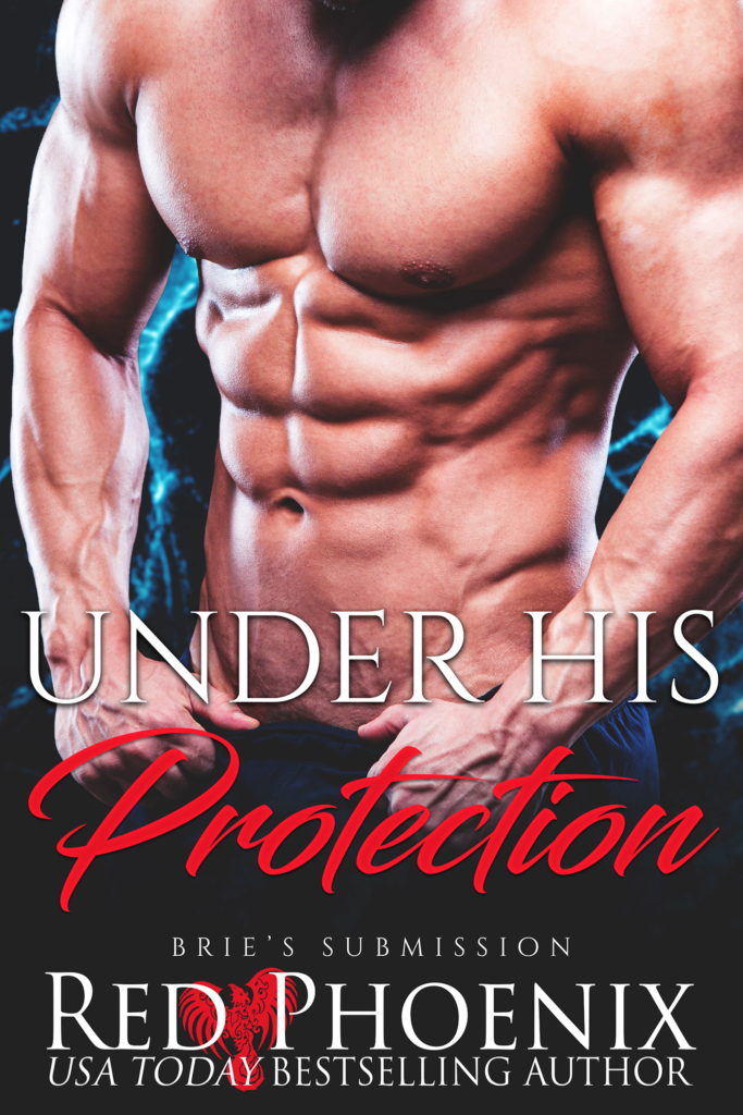 Official Under His Protection cover New